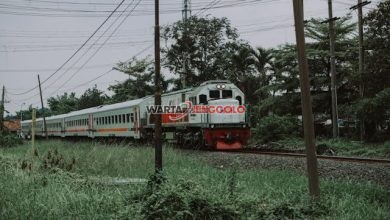 KA Gajayana melintas di jalur Tulungagung–Ngujang