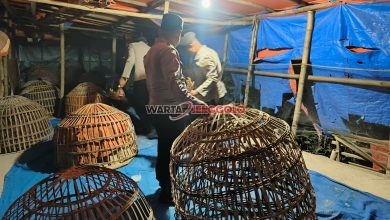 Petugas Polres Lamongan menggerebek arena judi sabung ayam di wilayah Pucuk dan Brondong