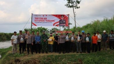 Polres Tulungagung menebar 5.000 benih ikan tombro di Sungai Boyolangu untuk menjaga ekosistem