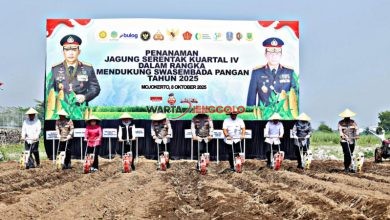 “Kapolda Jatim bersama petani menanam jagung di lahan pertanian Mojokerto