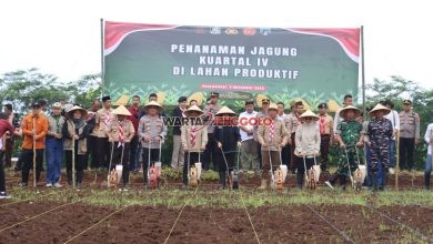 Personel Polresta Banyuwangi dan masyarakat melaksanakan penanaman jagung untuk mendukung ketahanan pangan.